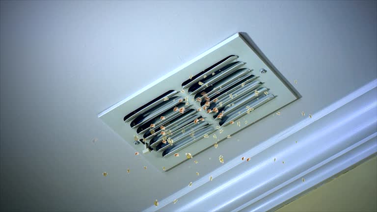 Best Duct Cleaning for Offices  in Candor, NC